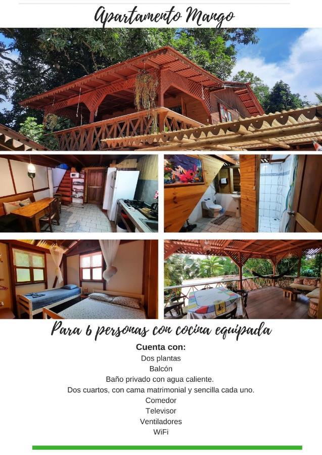 Chalet Y Cabinas Hibiscus Cahuita Esterno foto