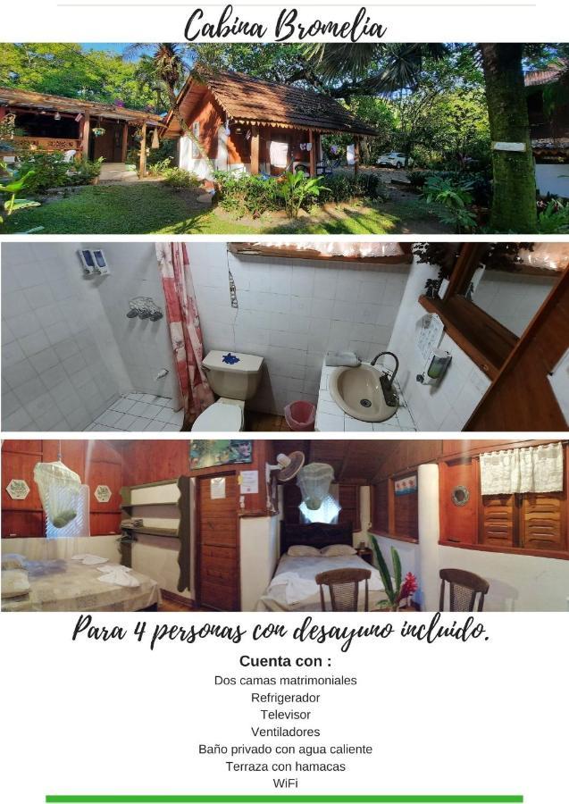 Chalet Y Cabinas Hibiscus Cahuita Esterno foto