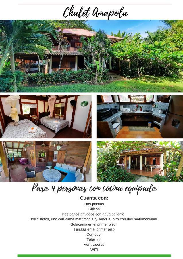 Chalet Y Cabinas Hibiscus Cahuita Esterno foto