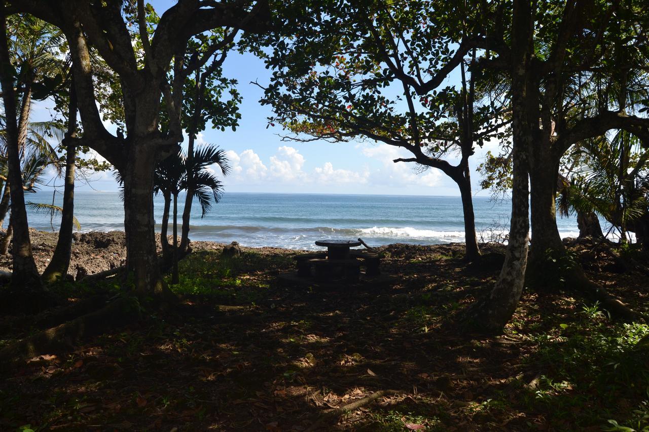 Chalet Y Cabinas Hibiscus Cahuita Esterno foto