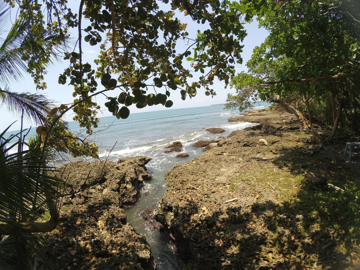 Chalet Y Cabinas Hibiscus Cahuita Esterno foto
