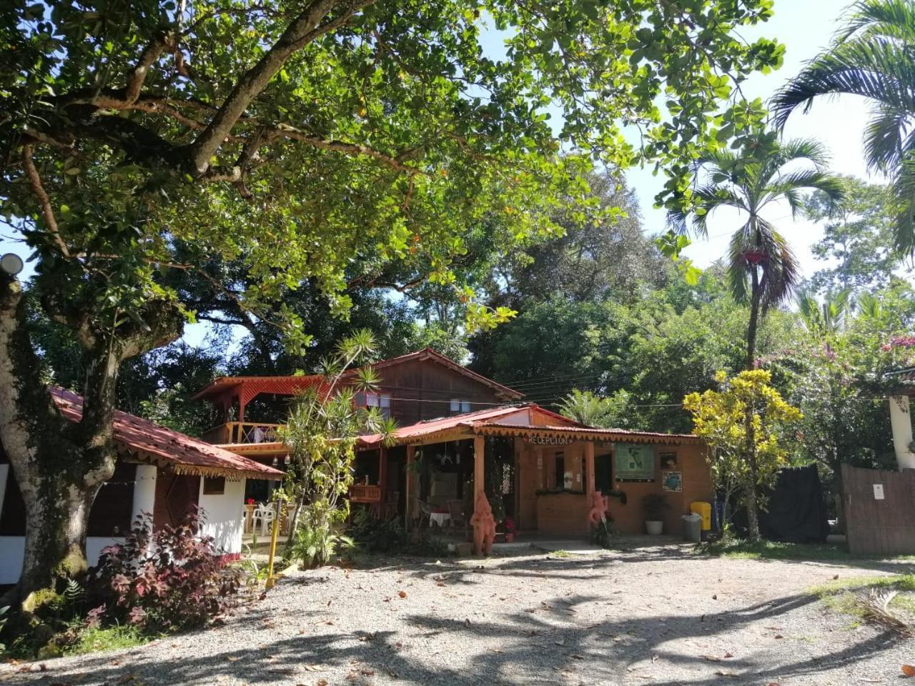 Chalet Y Cabinas Hibiscus Cahuita Esterno foto